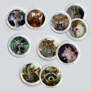 Calamita Apribottiglie