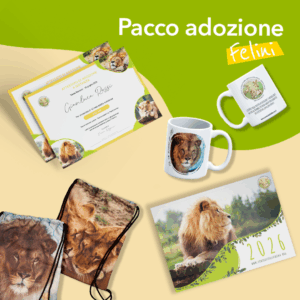 Pacco adozione a distanza FELINO