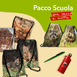 Pacco scuola