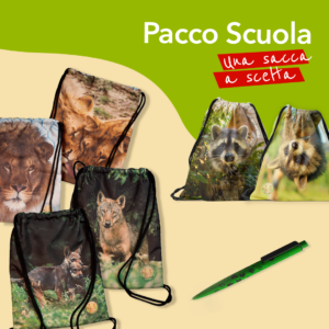 Pacco scuola