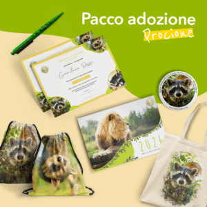 Pacco adozione a distanza PROCIONE