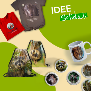 Idee Solidali