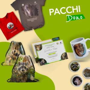 Pacchi dono